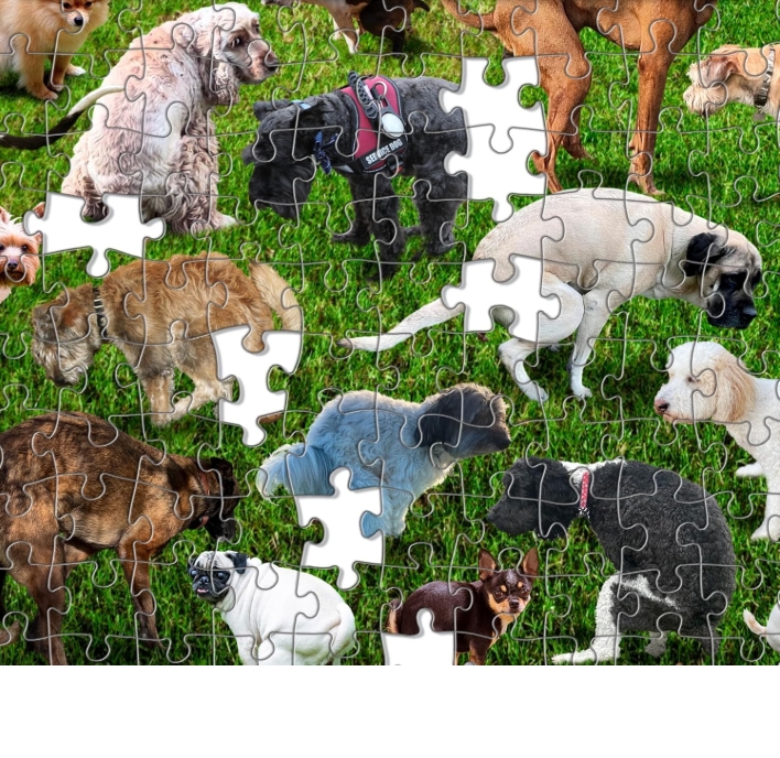 colorful artwork puzzle